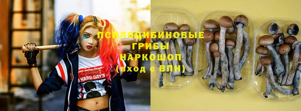 дмт Лагань