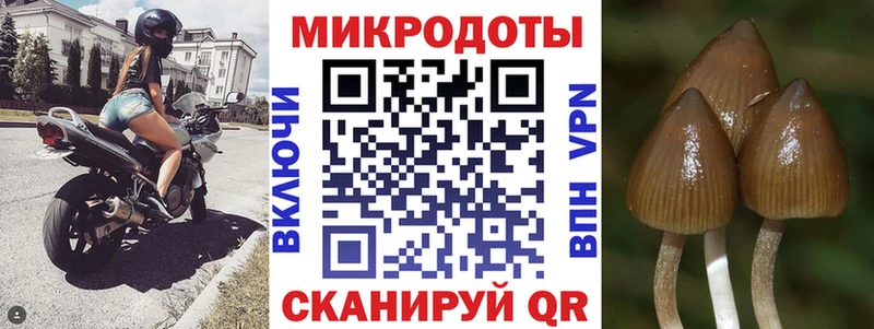 Псилоцибиновые грибы Psilocybine cubensis  Купить закладки  Старый Крым 